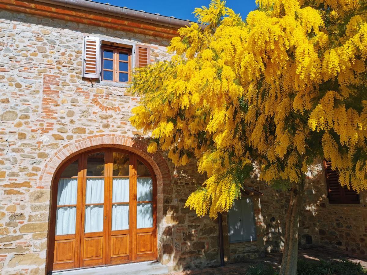 Antico Borgo Frosini Villa Arezzo Eksteriør bilde